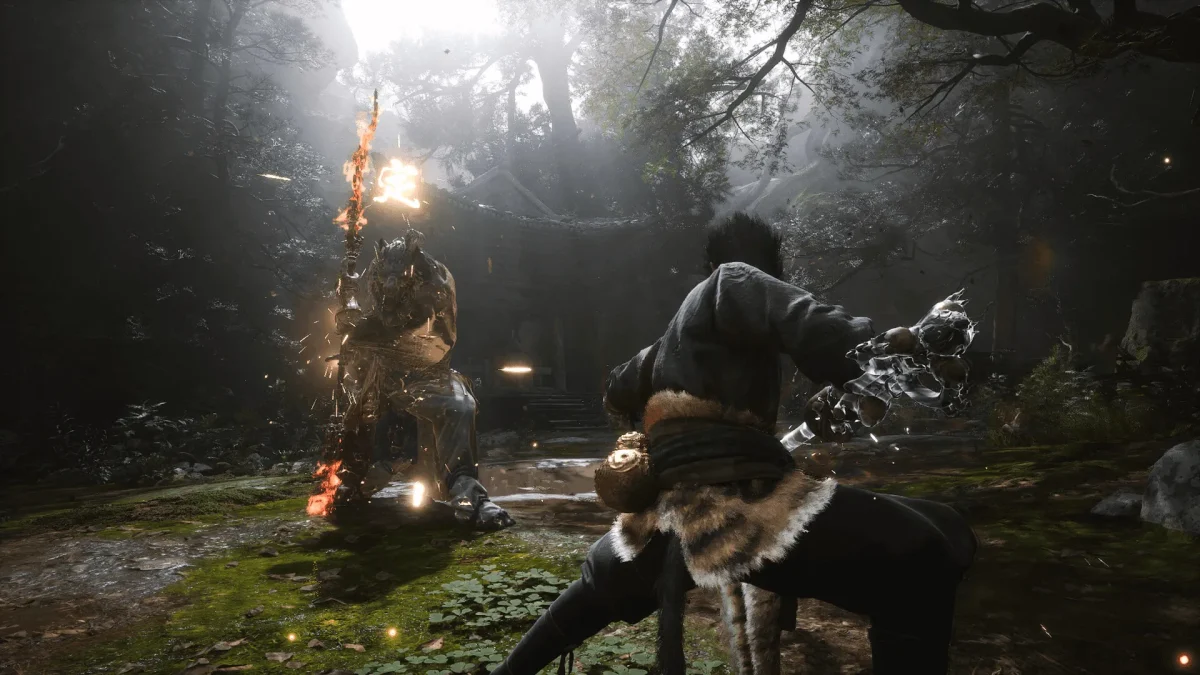 Black Myth: Wukong - Ảnh 3