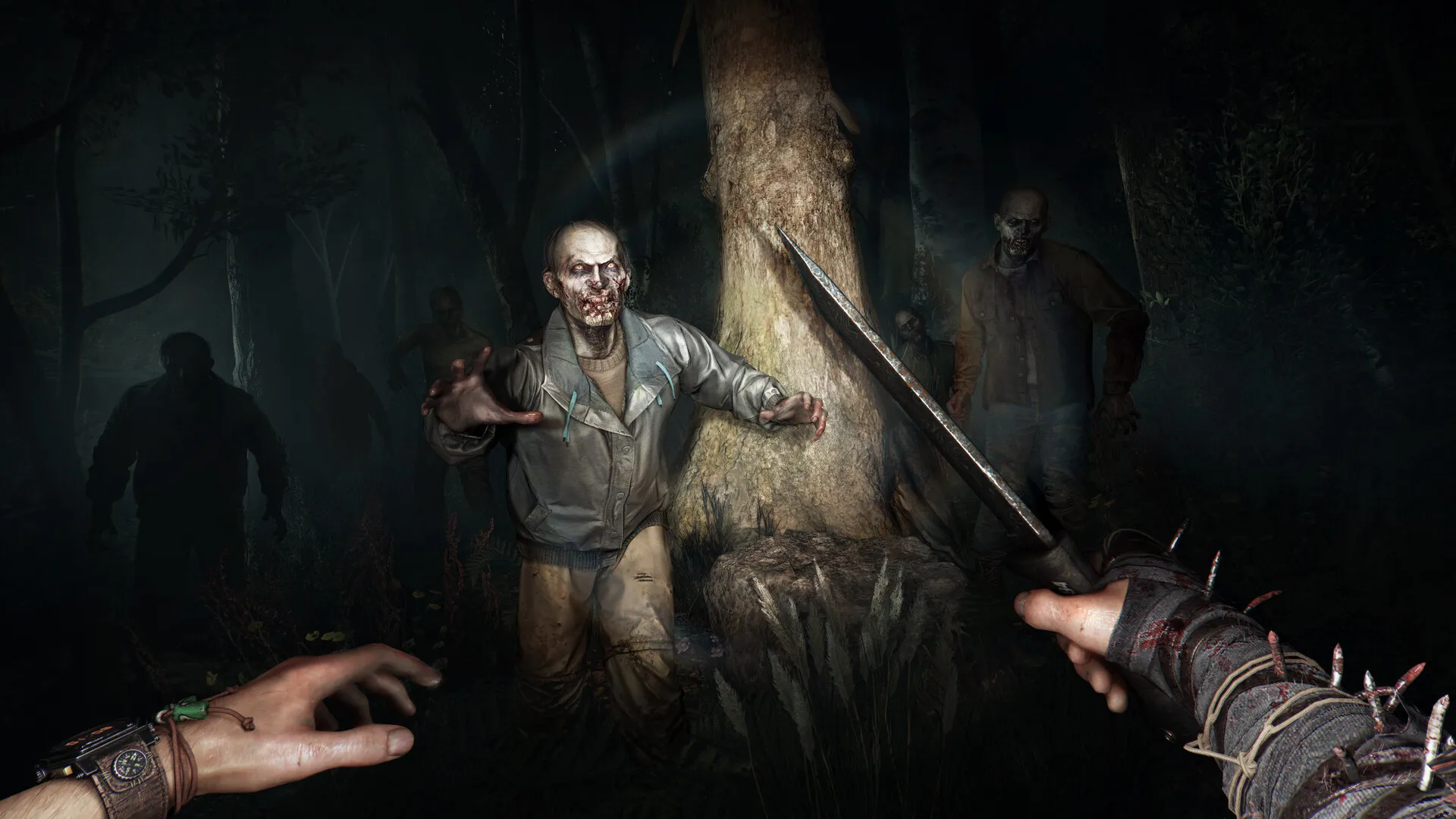 SS B952654580EB391536D075FE82AF5BBD3C9412EC.1920X1080 RESULT Dying Light The Beast - Ảnh 6