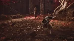Mortal Shell II: Devout Edition - Steam Offline - Ảnh 8