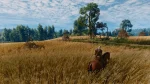 The Witcher 3: Wild Hunt Remastered - Steam Offline - Ảnh 9